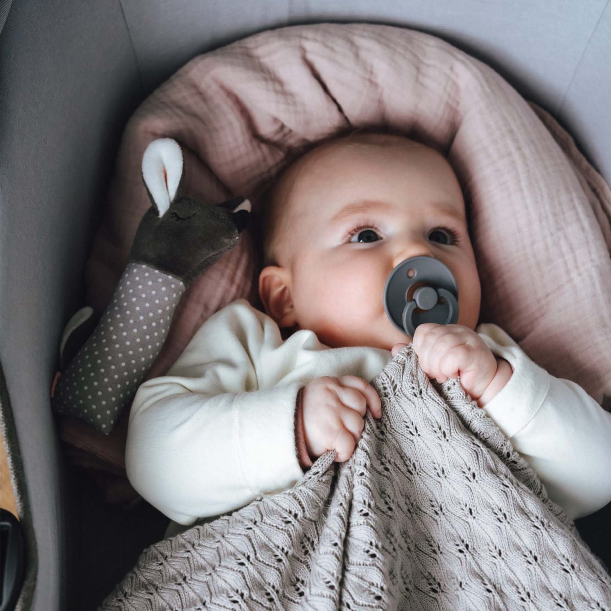 Quietscher Rehkitz Quietscher Rehkitz