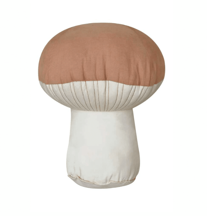 Cushion Boletus
