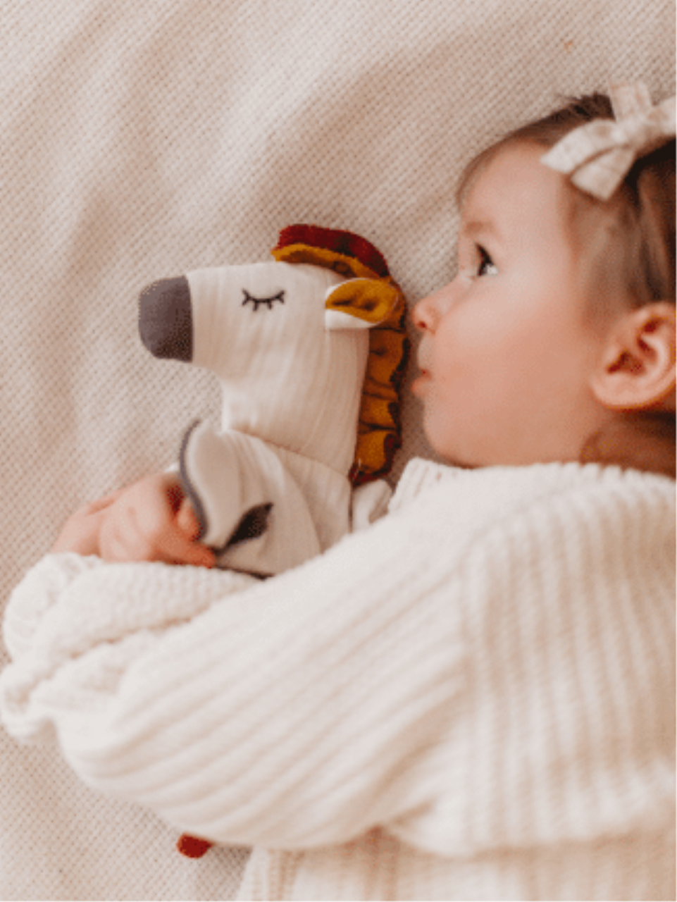 Geheimnis-Zebra Geheimnis-Zebra