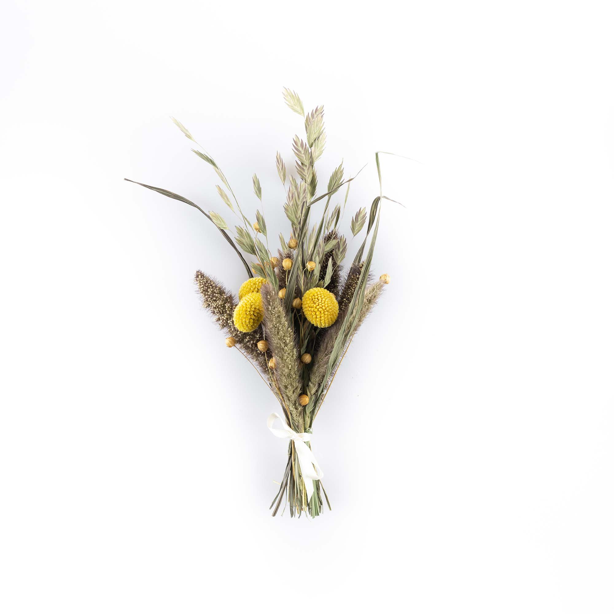 Trockenblumen Strauss, gross