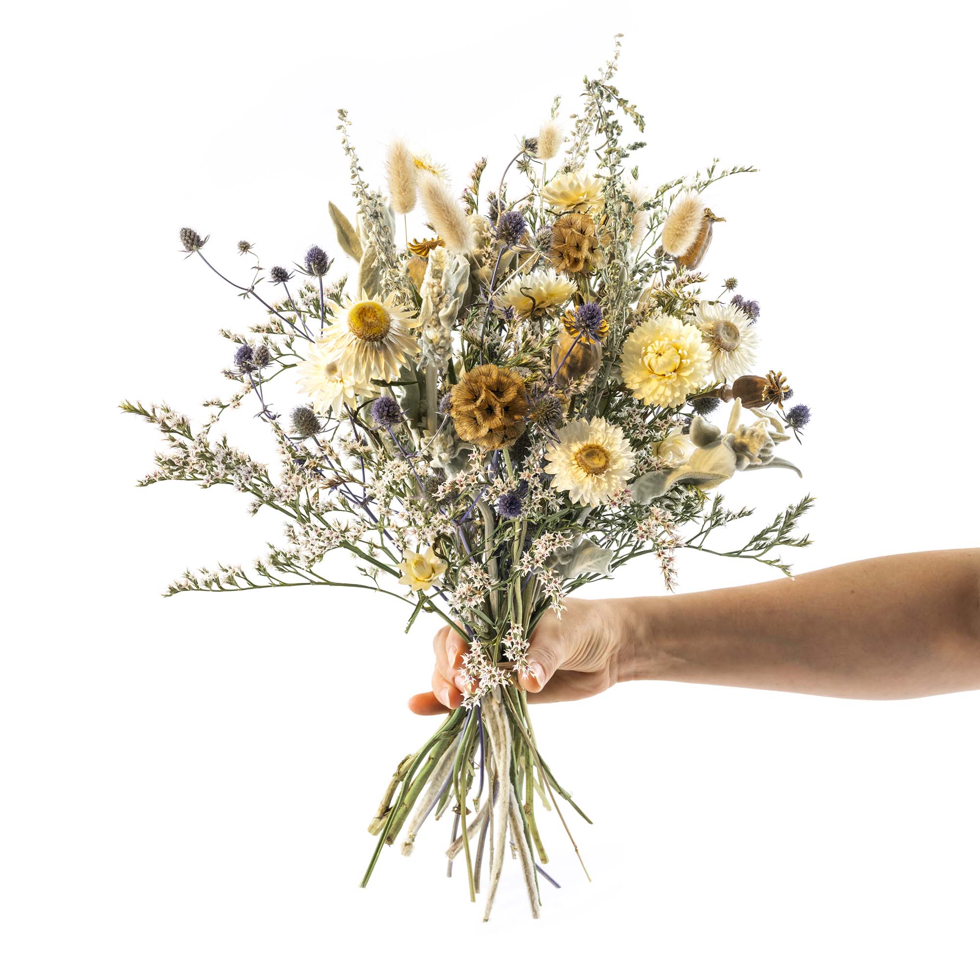 Bio Trockenblumen Strauss Gross, weiss/beige, Swiss Made