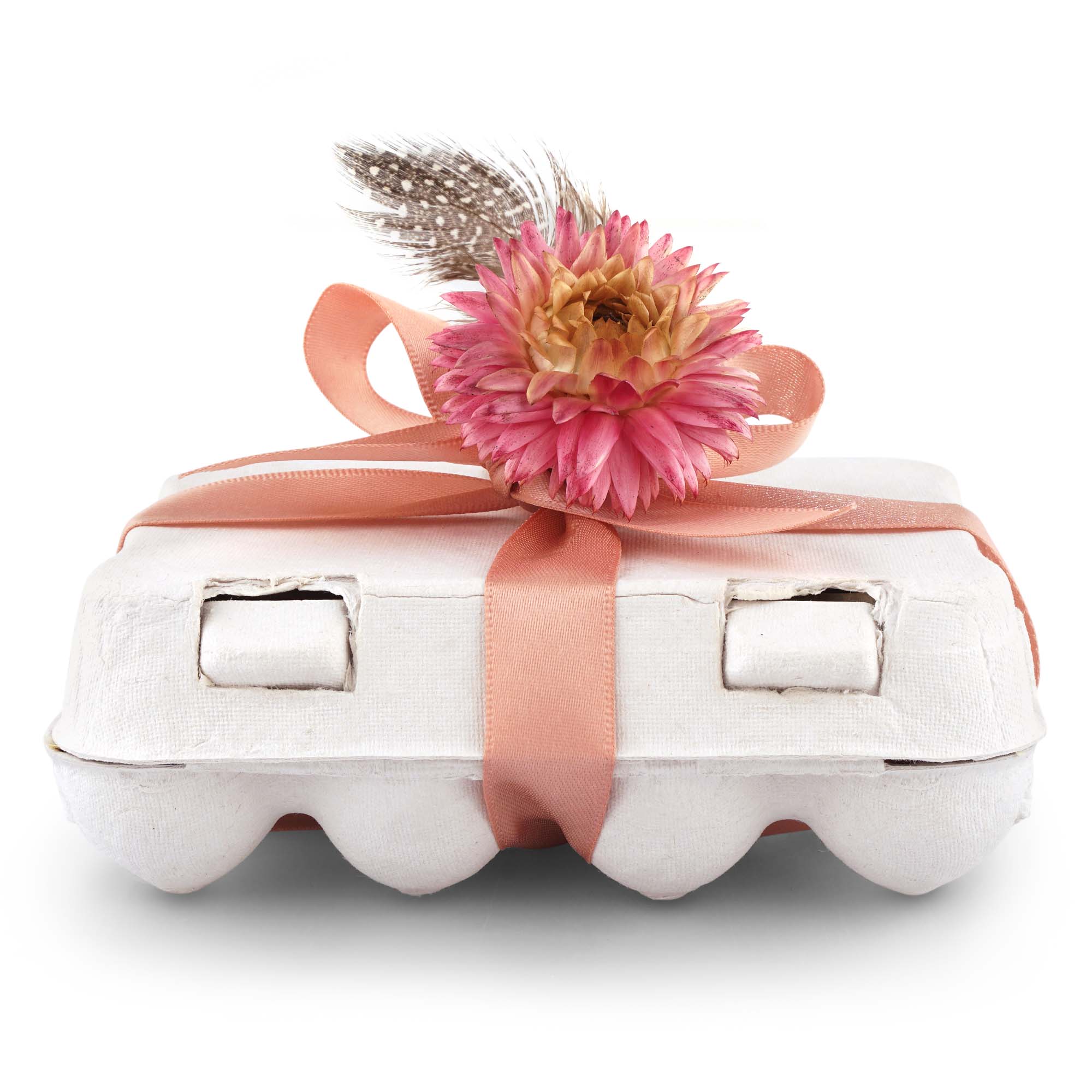 Dahlie, Blume, Pflanze