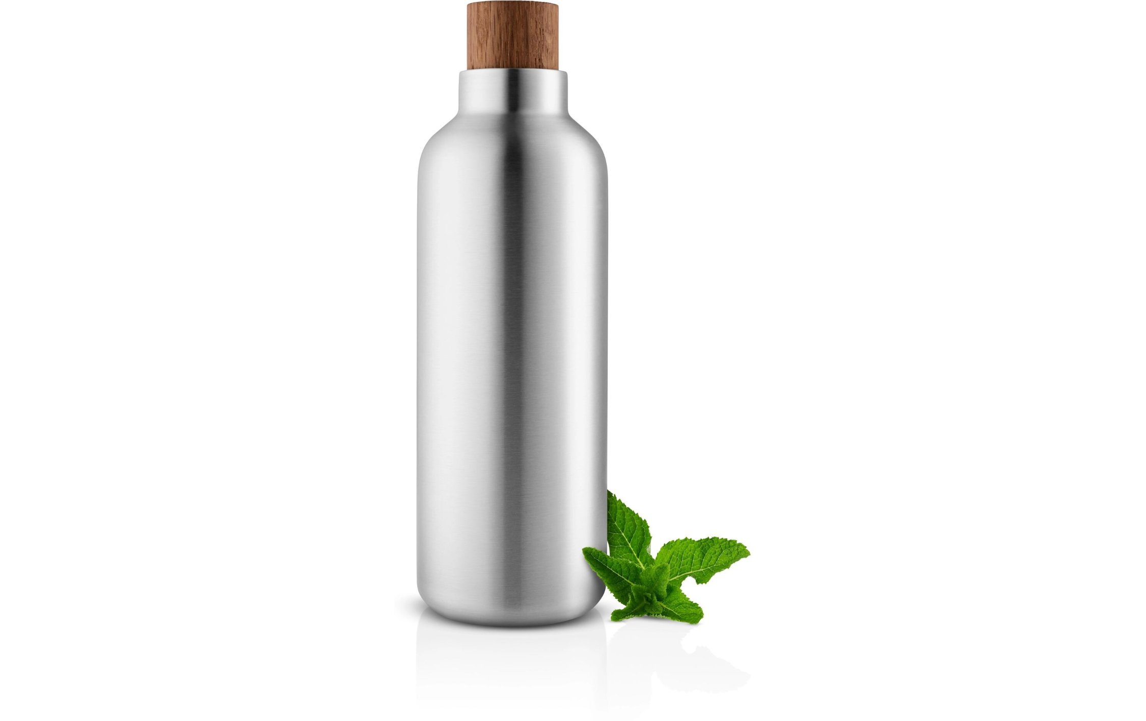Flasche, Stahl, Edelstahl, Korken, Minze