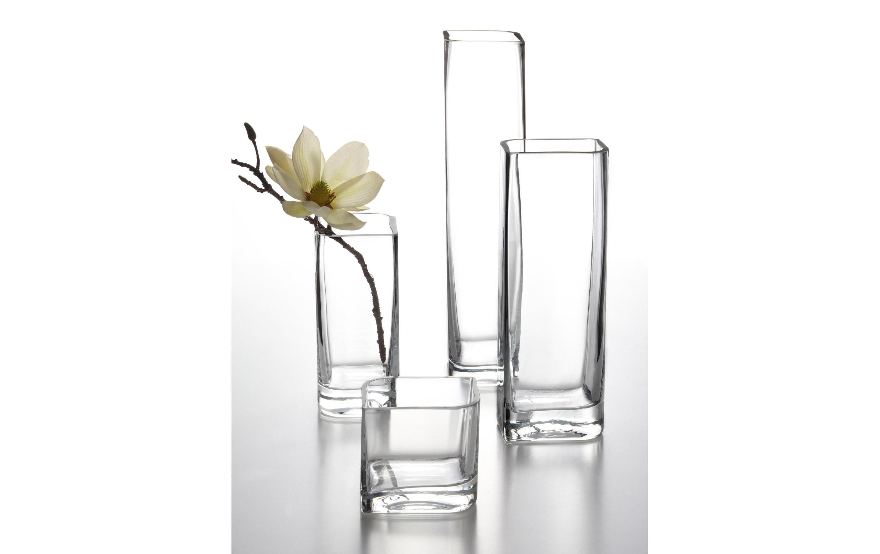 Leonardo Vase Lucca 40x11cm transparent