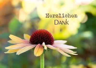 Herzlichen Dank - Grusskarte Sonnenhut
