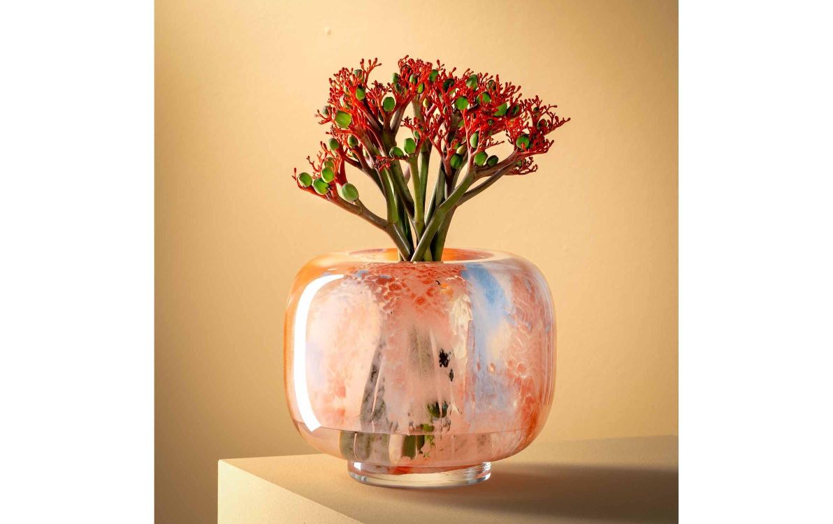 Pflanze, Glas, Töpferei, Vase, Topfpflanze