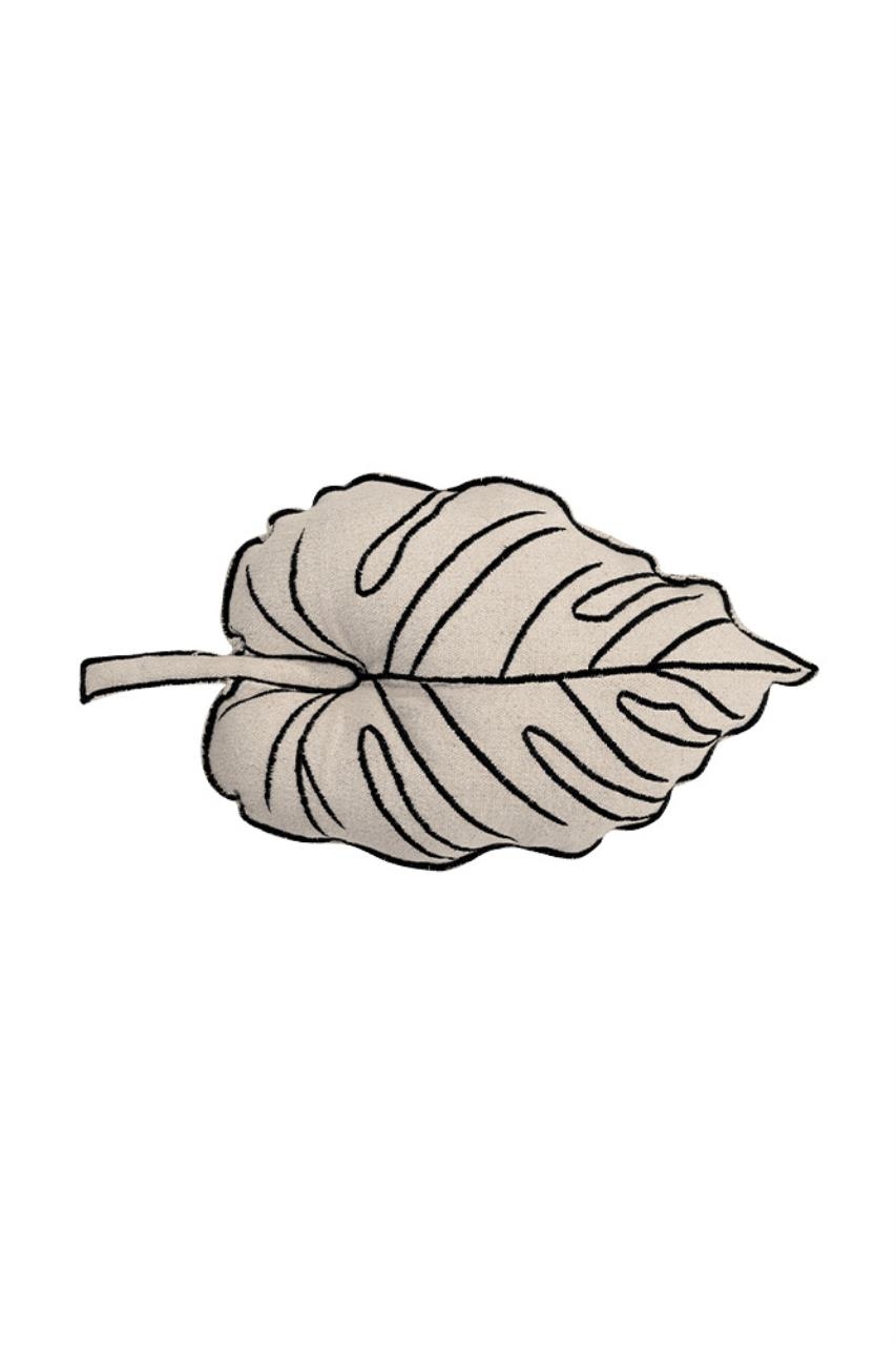 Blatt, Pflanze, Zubehör