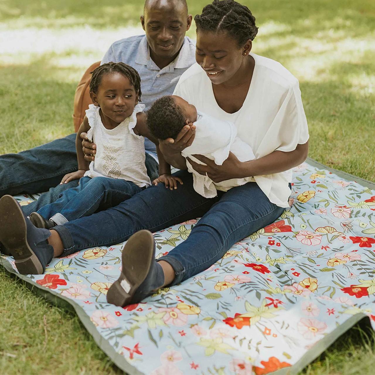 baby, babydecke,  Picknick, Familie, Kinder
