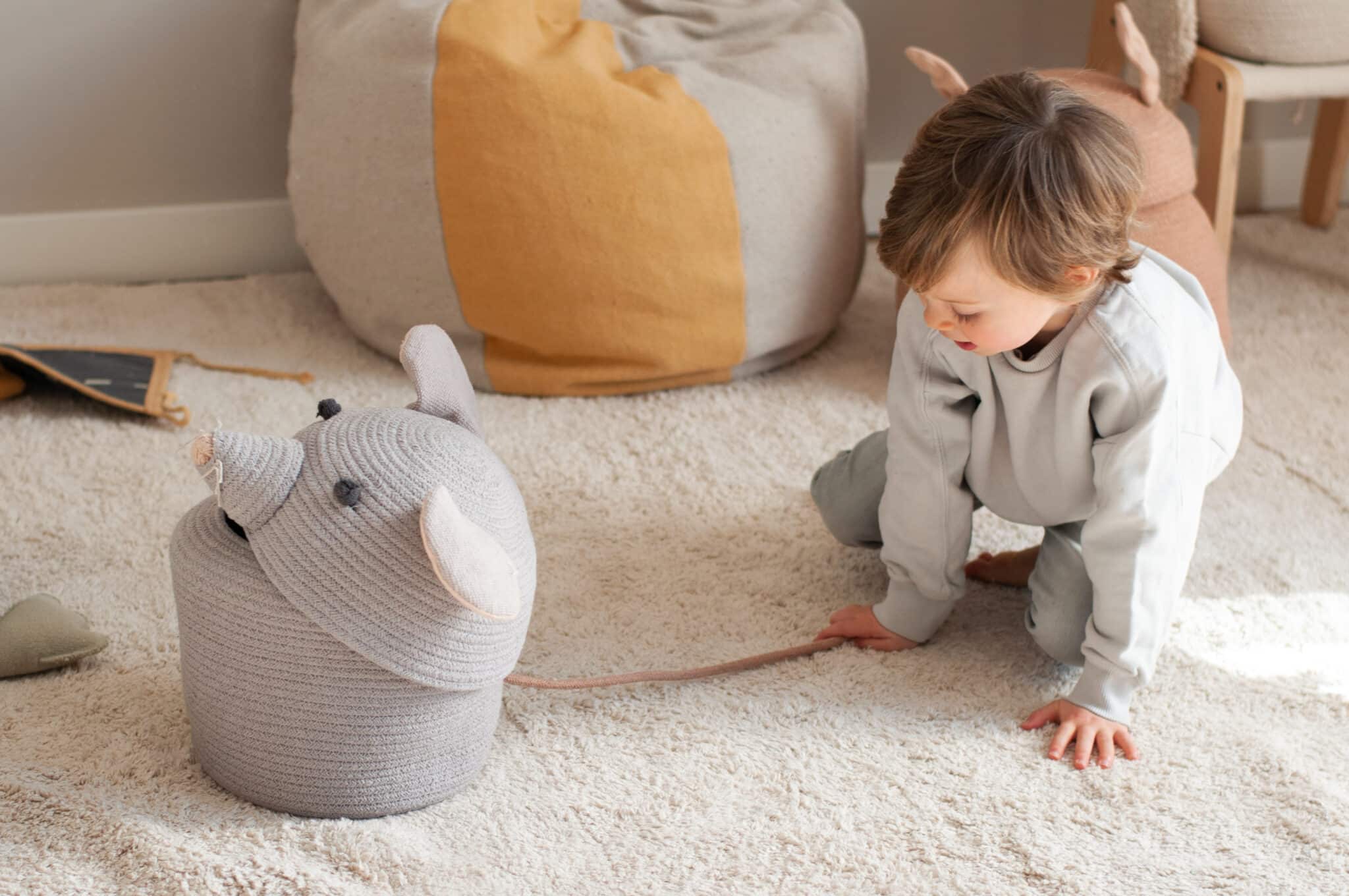 Basket Renata the Rat Basket Renata the Rat