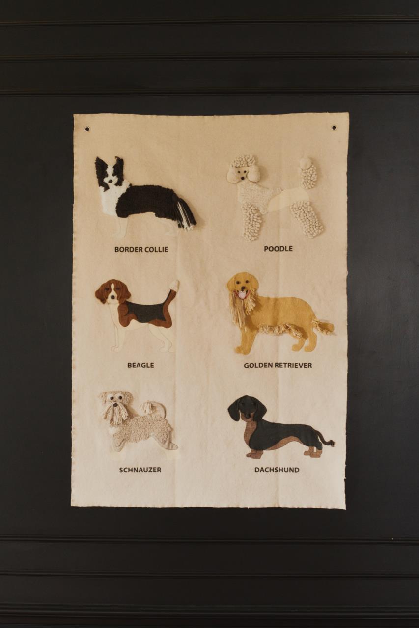 Hund, Werbung, Katze, Text