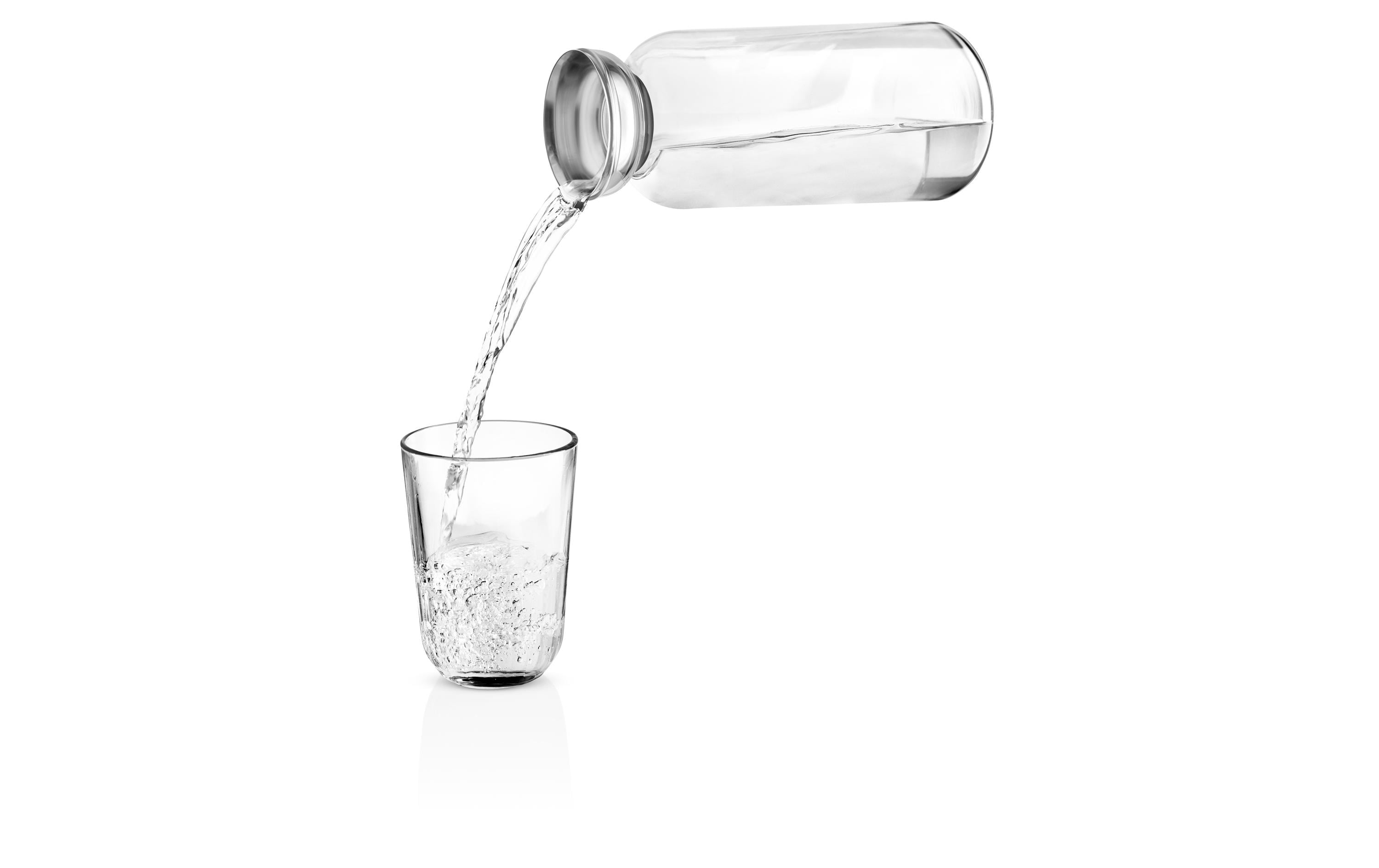 Eva Solo Kühlschrankkaraffe Silhouette 1.0l