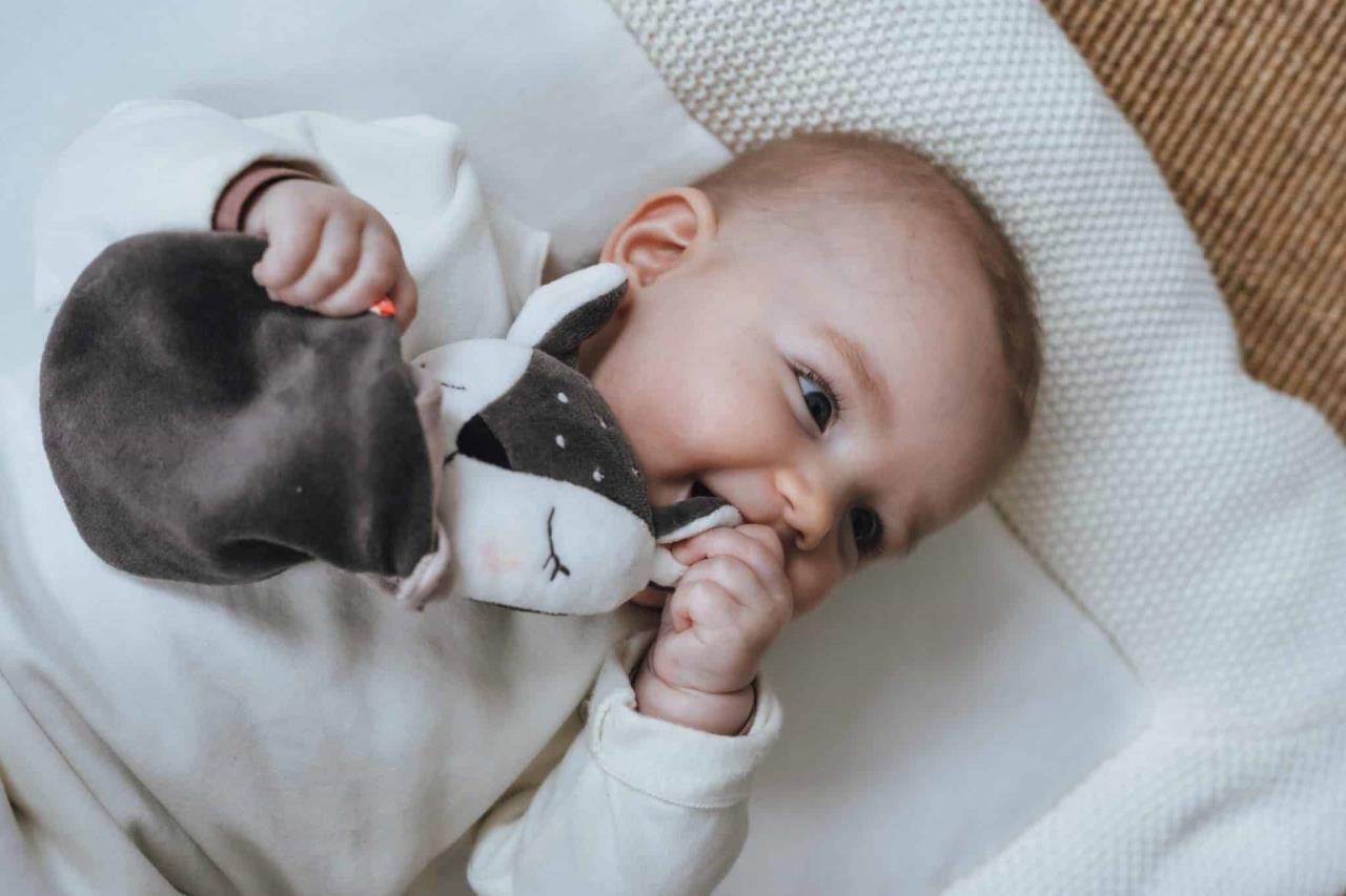 Beissring mit kleinem Rehkitz Beissring mit kleinem Rehkitz