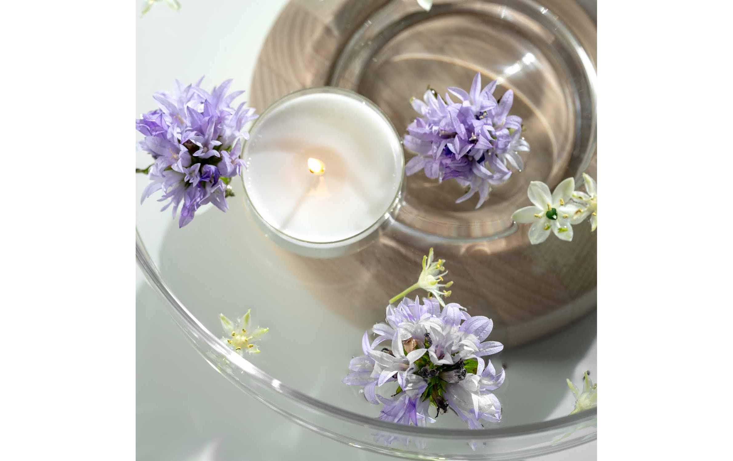 Blume, Pflanze, Blumen-Arrangement, Blumenstrauß