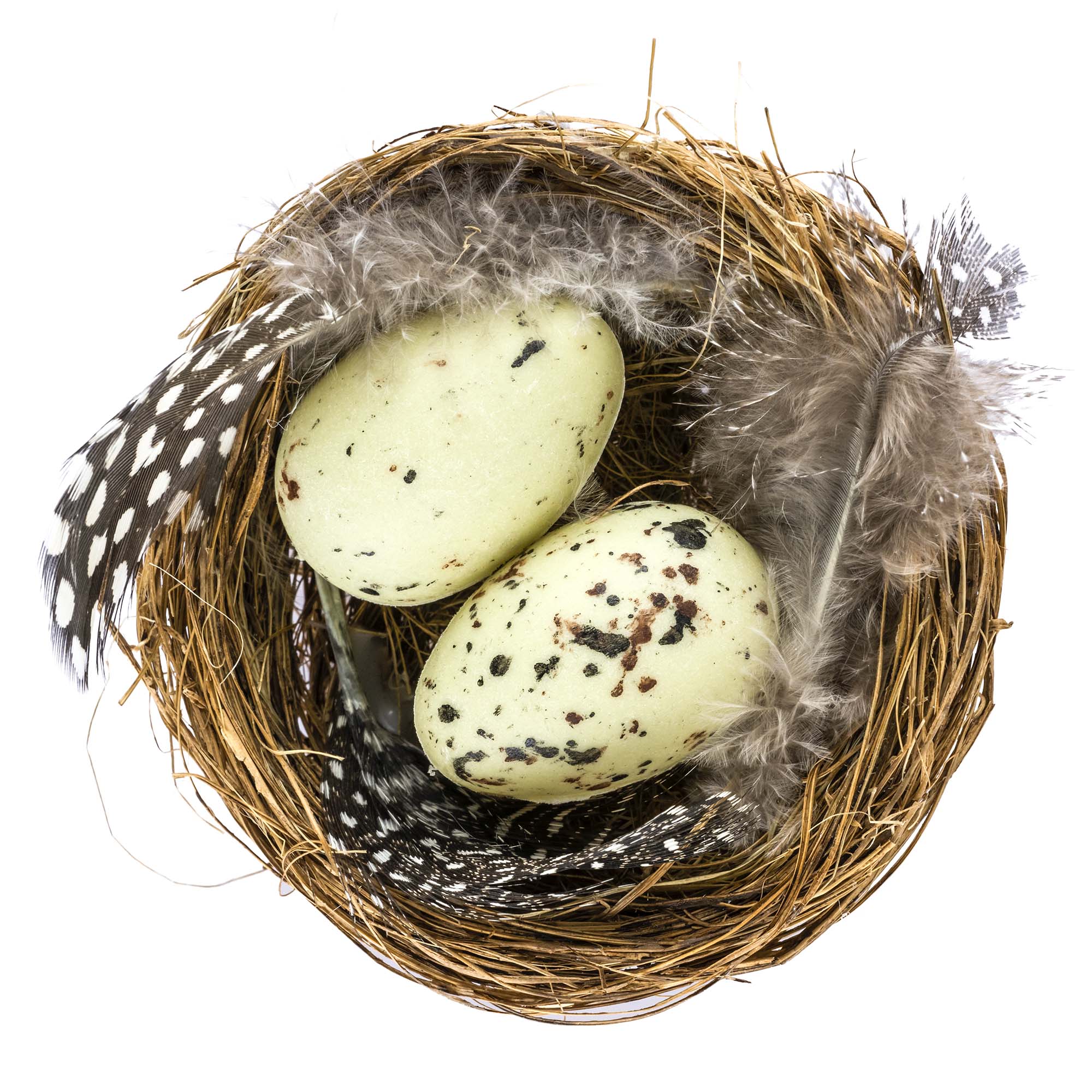 Wachteleier im Nest 8x6cm Wachteleier im Nest 8x6cm