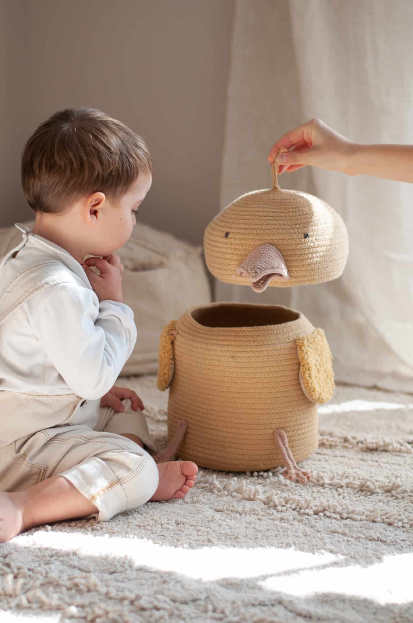 Basket Charlie the Chicken Basket Charlie the Chicken