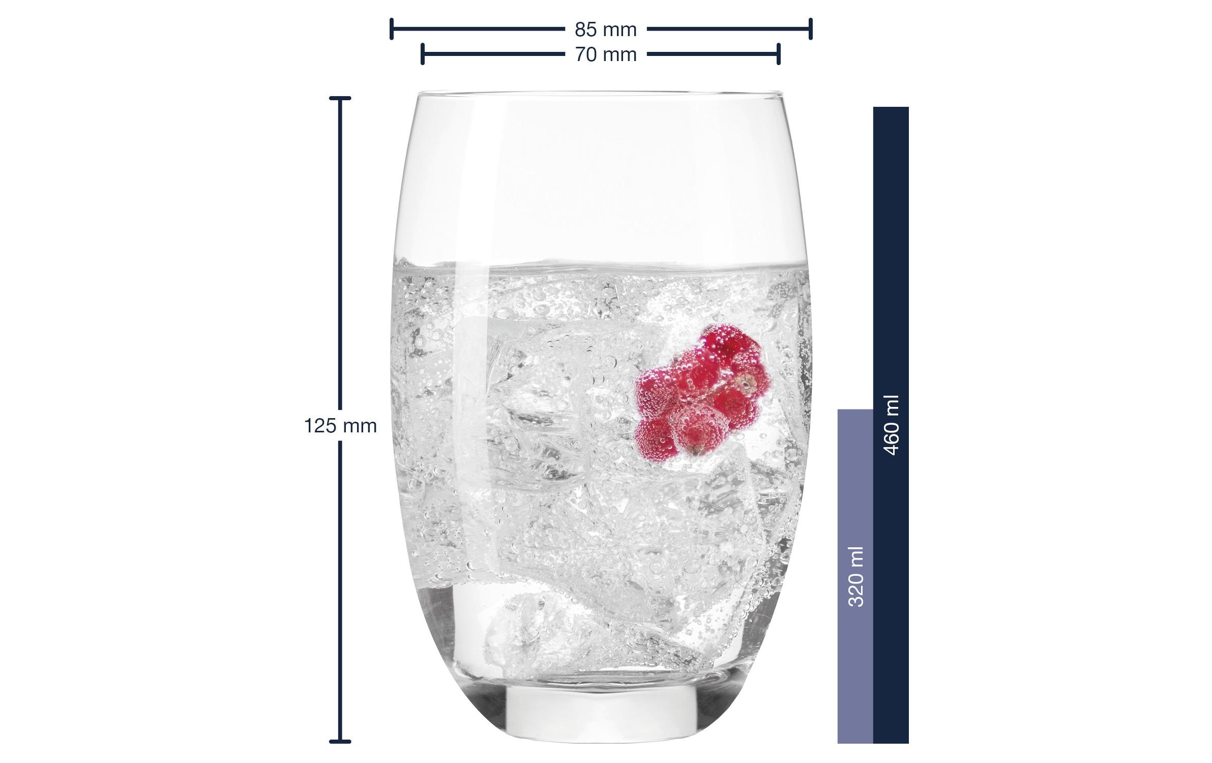 Leonardo Glas Cheers 460ml