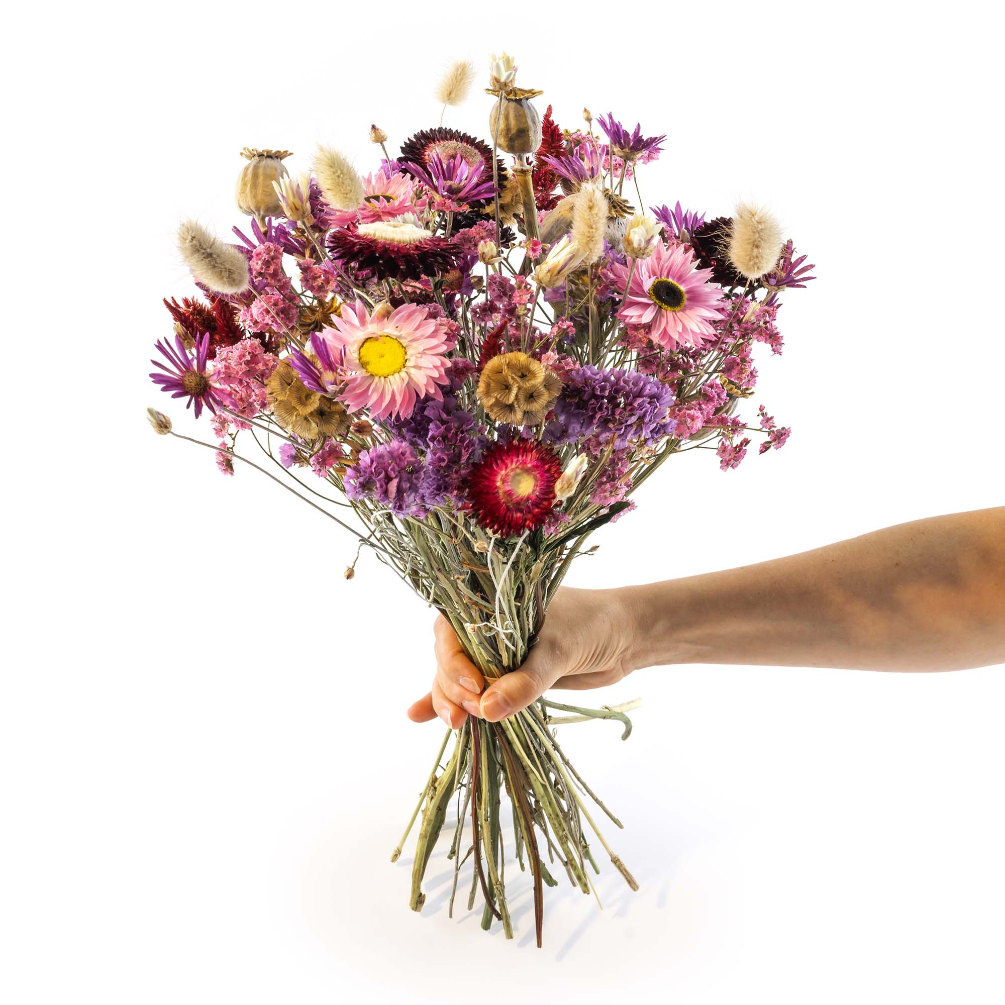 Bio Trockenblumen Strauss Gross, violett/rosa, Swiss Made