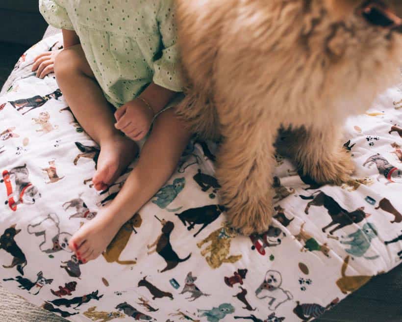 Big Kid Cotton Muslin Quilt - Woof