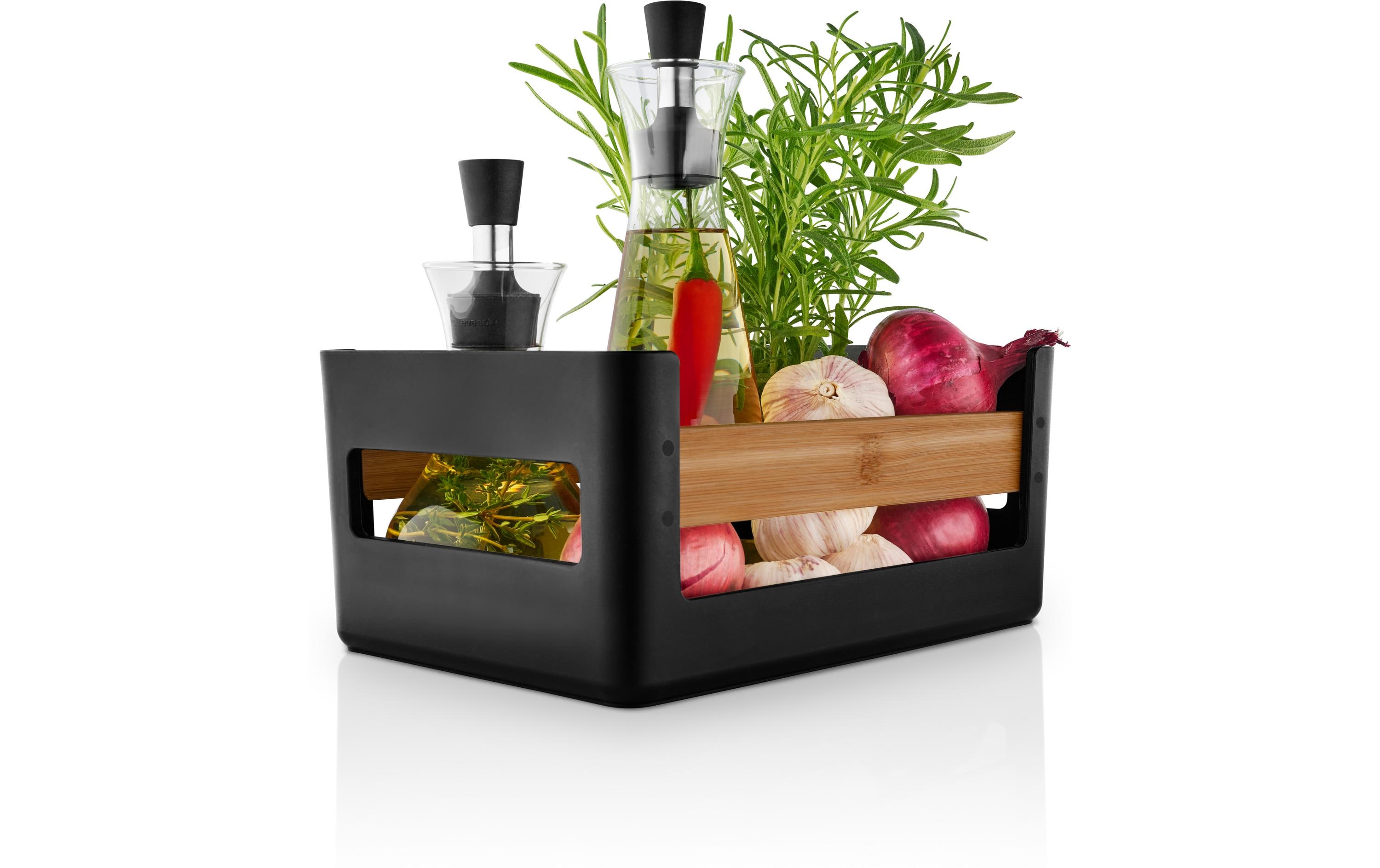 Pflanze, Pflanze im Topf, Krug, Pflanzgefäß, Vase