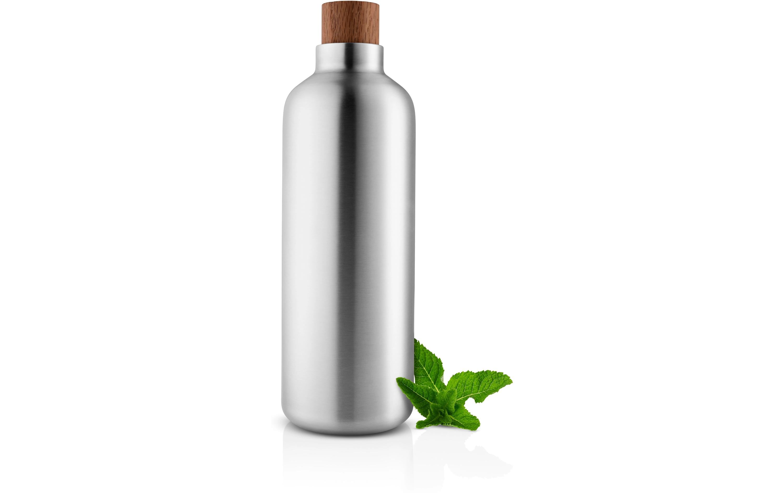 Stahlflasche, Wasserflasche, Metall, Korken, Minze