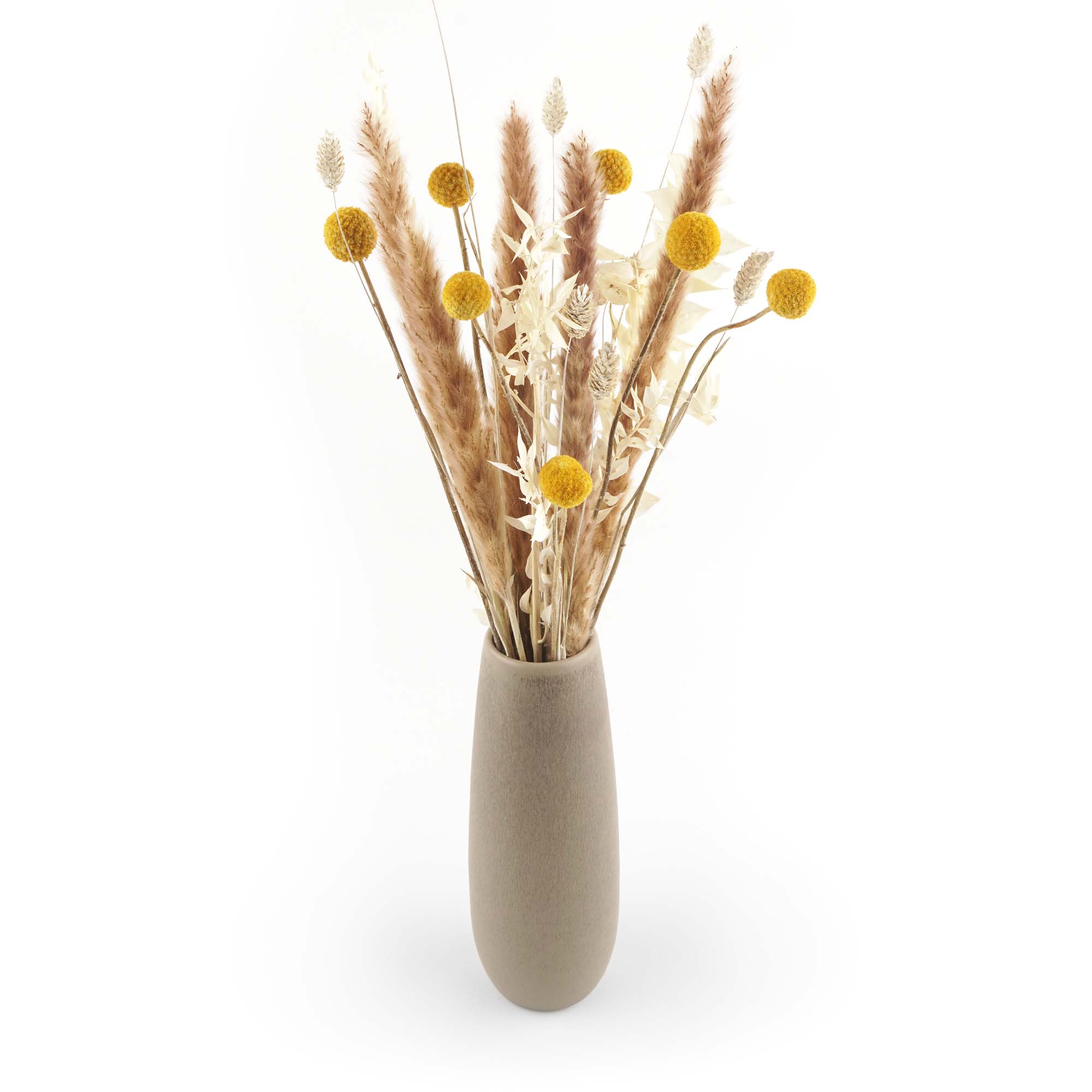 Trockenblumen Strauss "Craspedia" Trockenblumen Strauss "Craspedia"