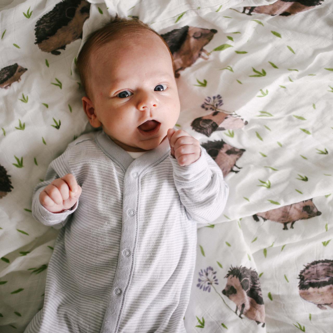Kopf, Person, Gesicht, Baby, Portrait
