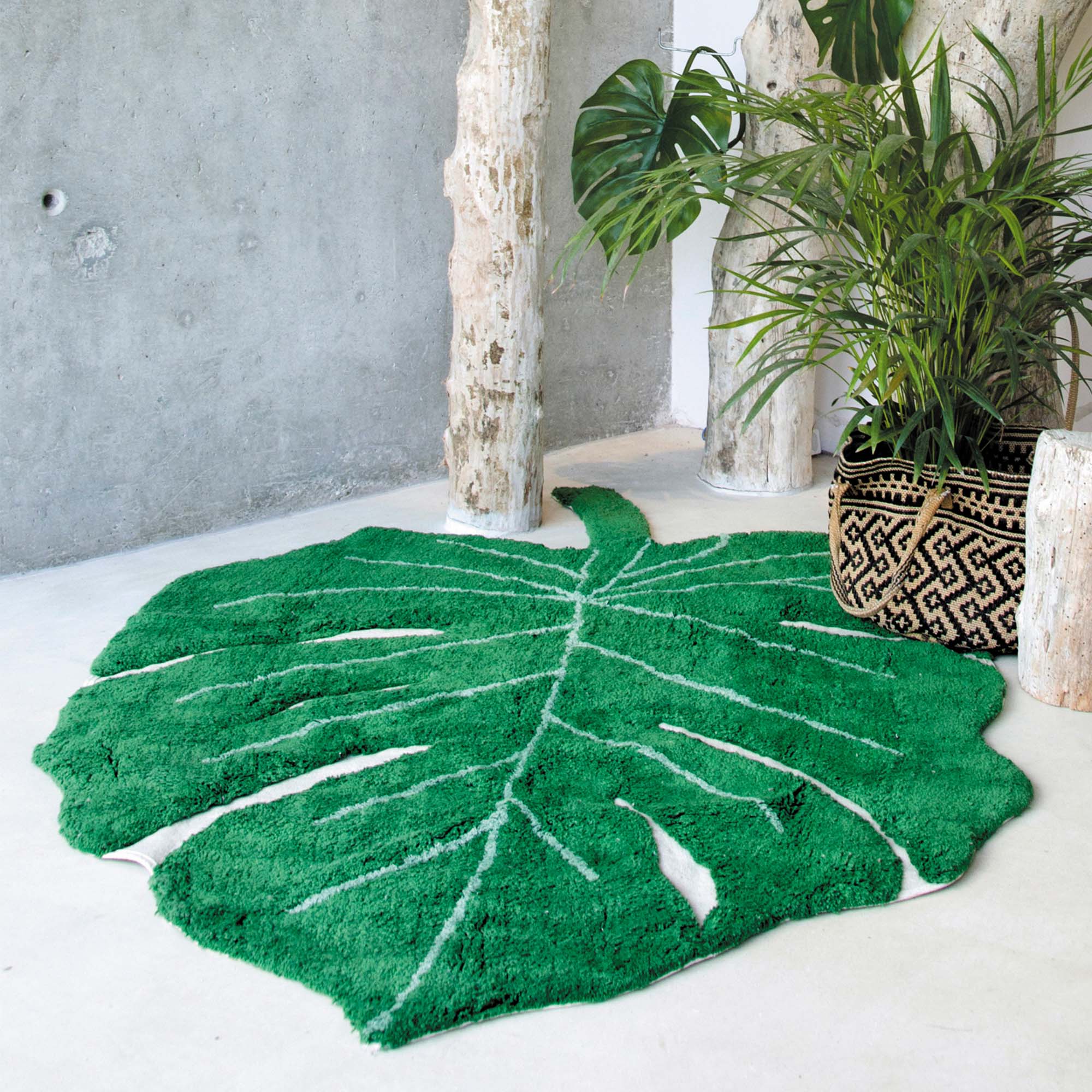 Dekoration für Zuhause, Teppich, Blatt, Pflanze