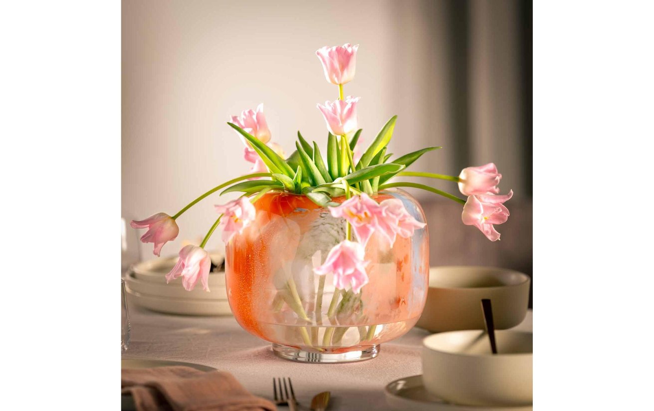 Krug, Blume, Blumen-Arrangement, Topfpflanze, Blütenblatt