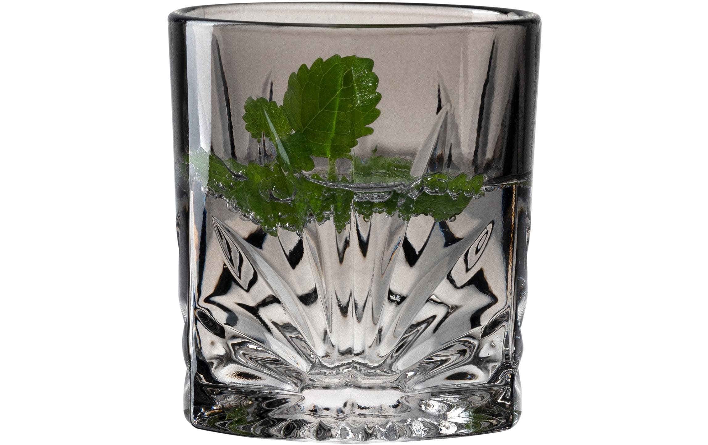 Leonardo Whiskyglas SOF Capri 220ml grau