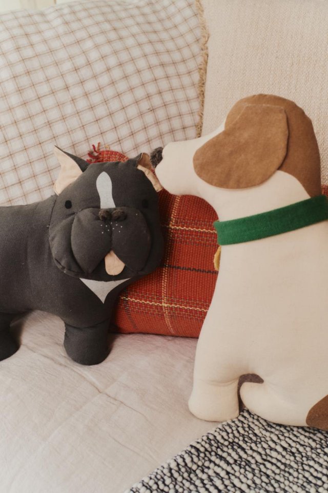 Kissen, Dekoration für Zuhause, Plüsch, Couch, Welpe