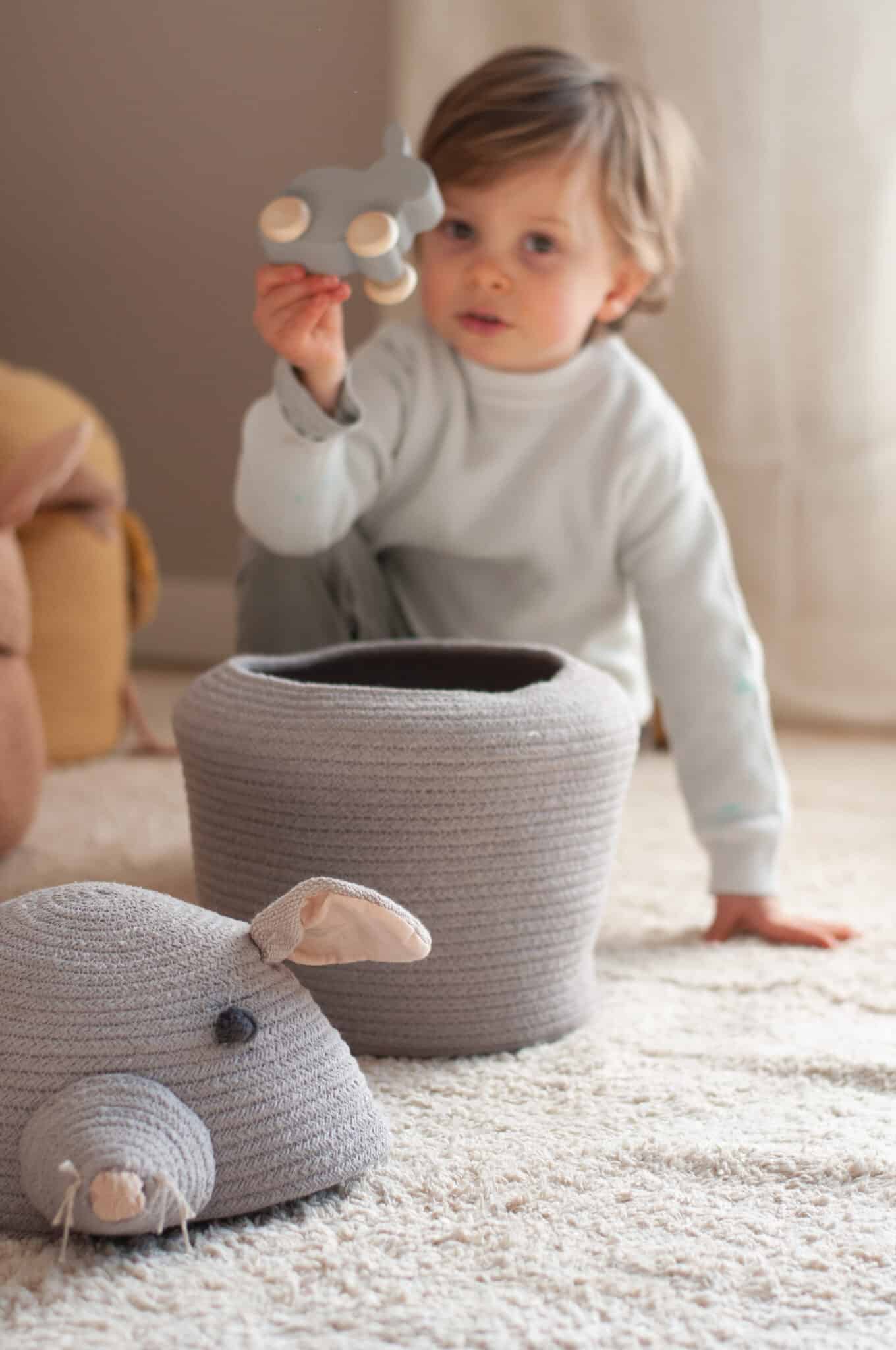 Basket Renata the Rat Basket Renata the Rat