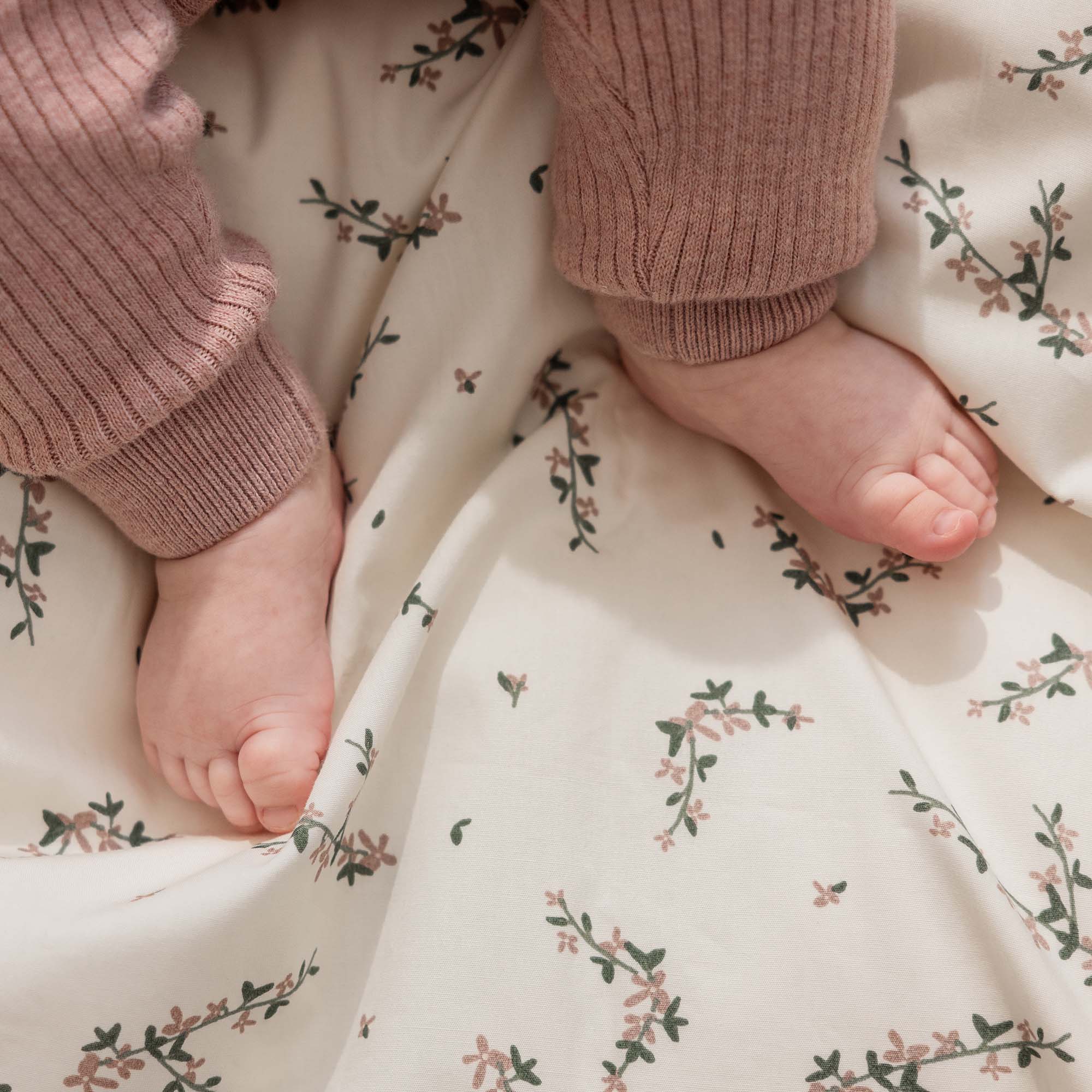bilder_uebersicht_Babyfinken