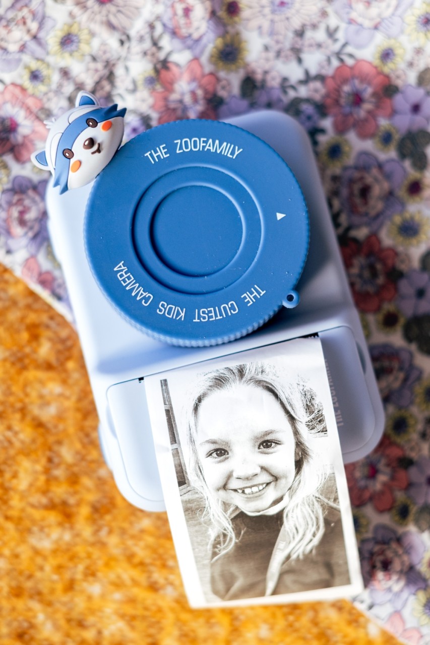 Kamera, Polaroid, Fotodruck, Sofortbild, Kleine Kamera