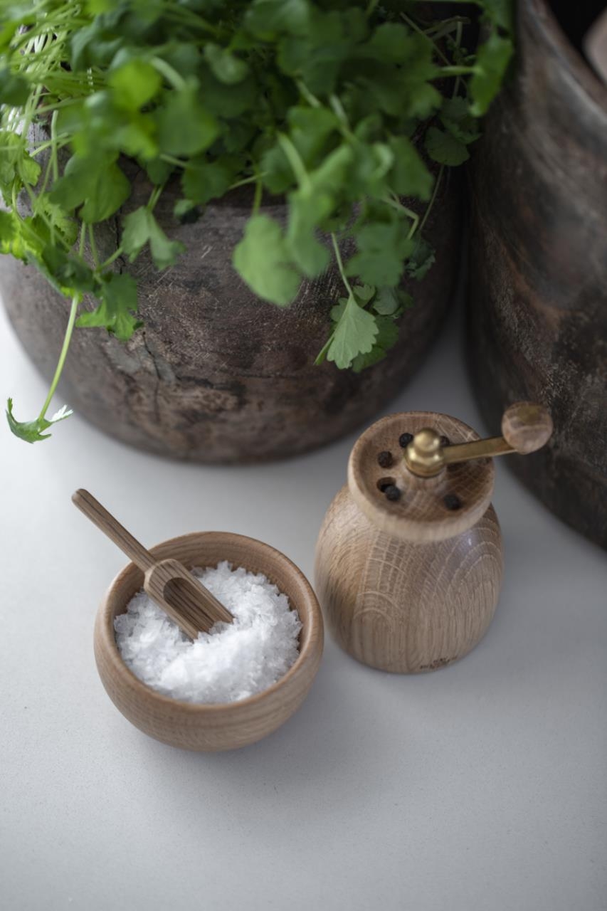 Koriander, Essen, Pflanze, Pinsel, Werkzeug