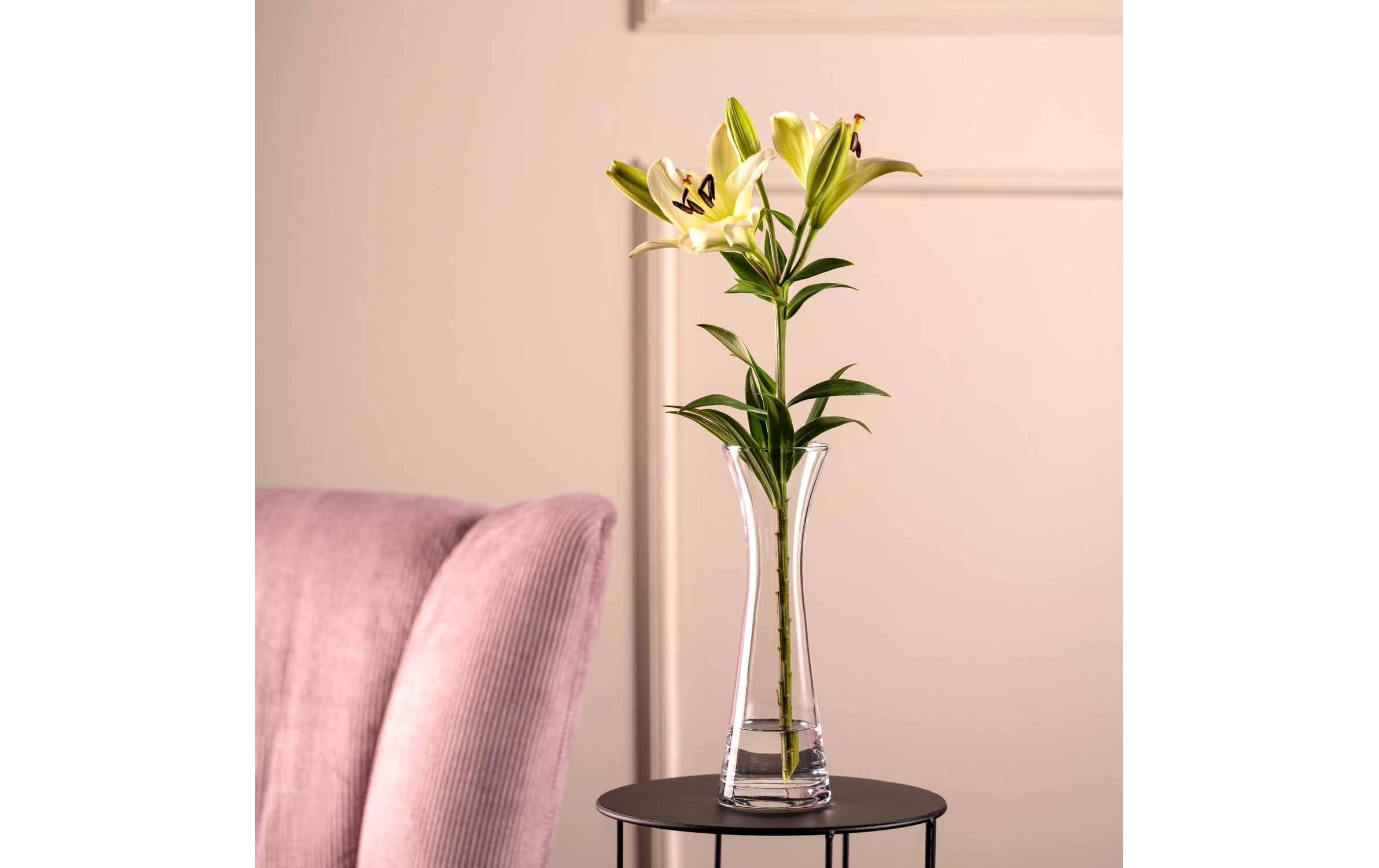 Pflanze, Blume, Blumen-Arrangement, Innenarchitektur, Lampe