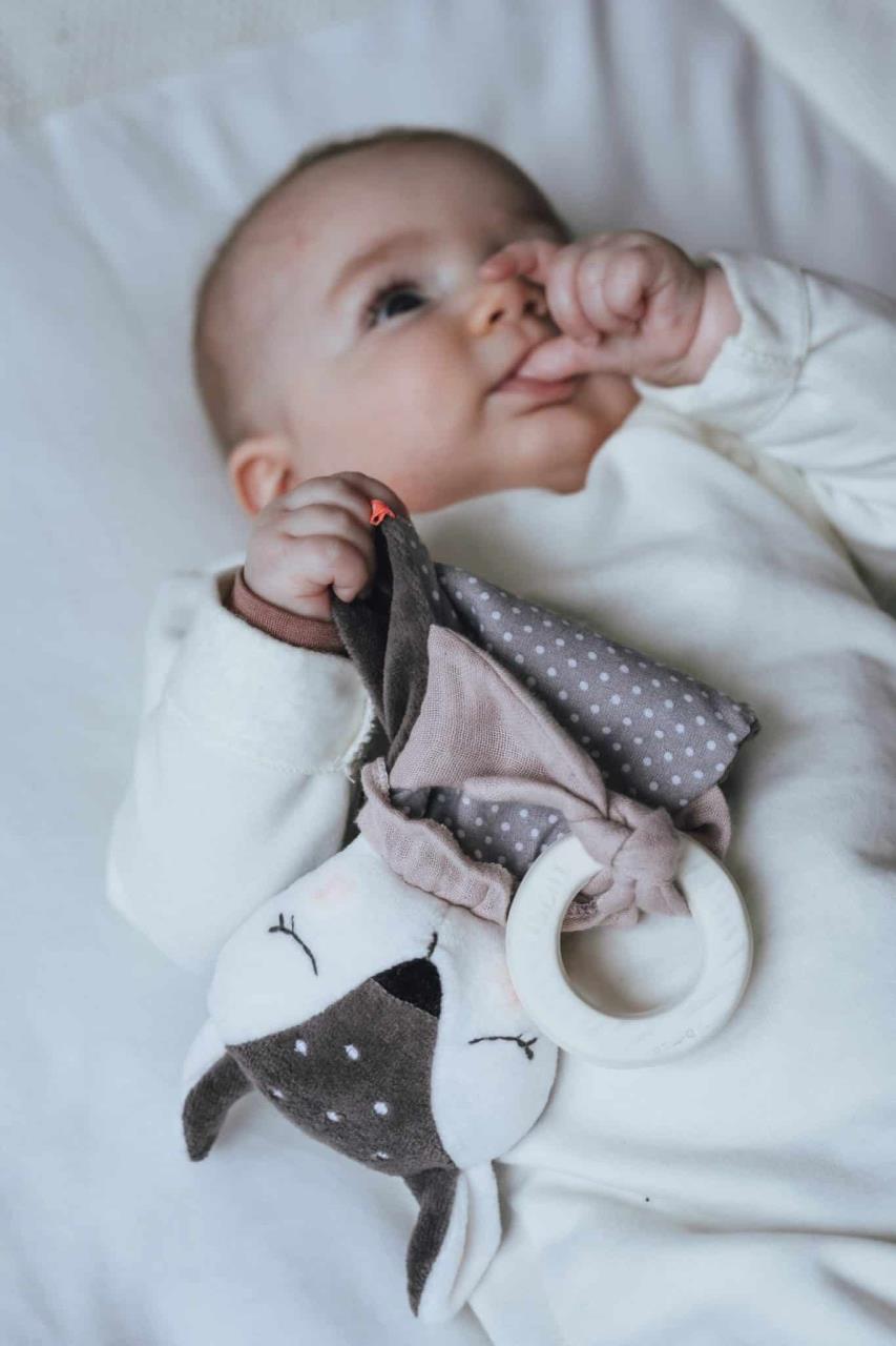 Beissring mit kleinem Rehkitz Beissring mit kleinem Rehkitz