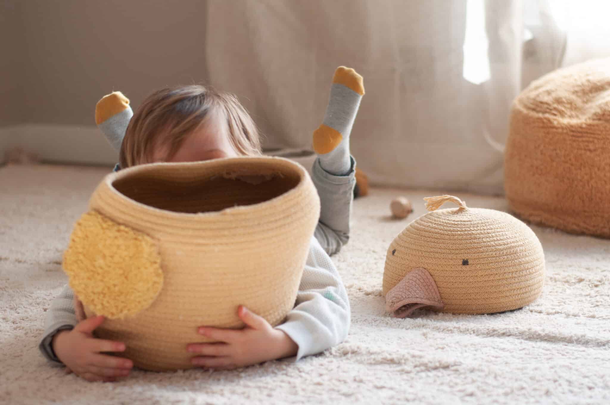 Basket Charlie the Chicken Basket Charlie the Chicken