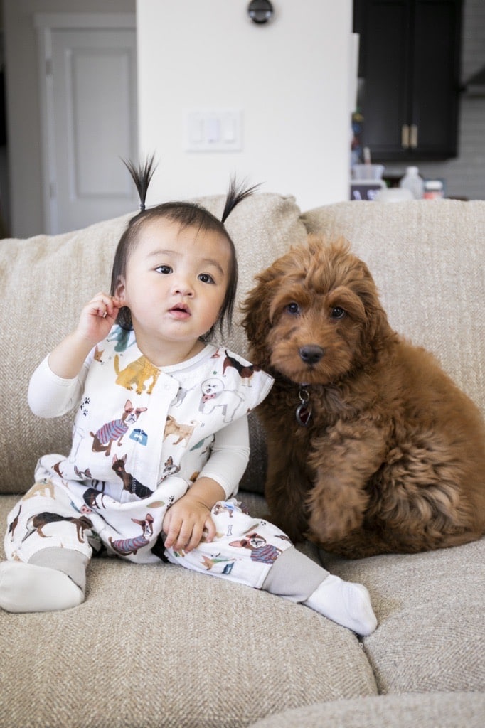 Cotton Muslin Sleep Romper Gr. XL - Woof Cotton Muslin Sleep Romper Gr. XL - Woof