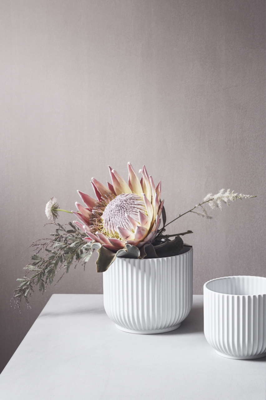 Blume, Blumen-Arrangement, Pflanze, Töpferei, Ikebana