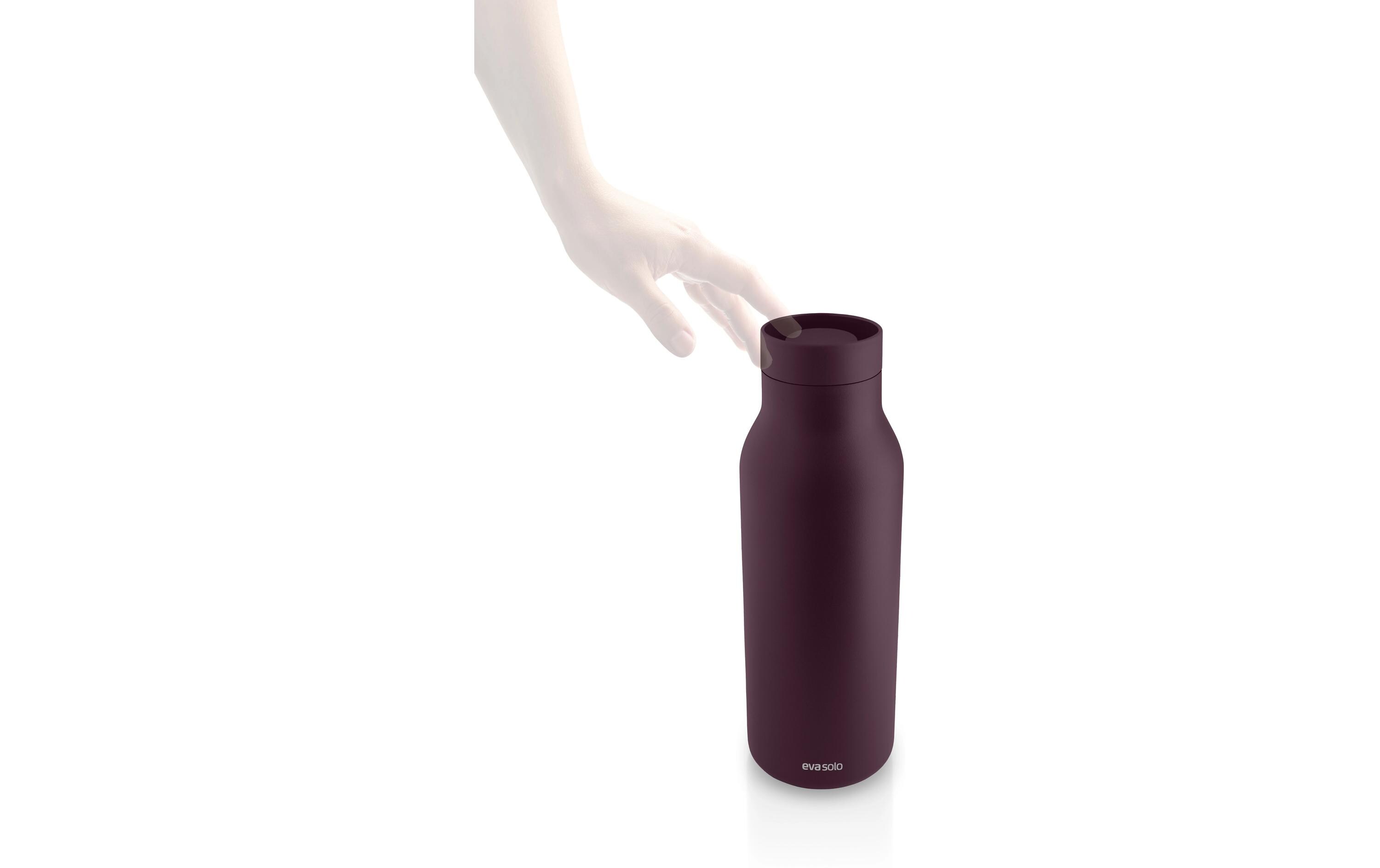 Wasserflasche, isolierte Flasche, weinrot, Metallflasche, Drehverschluss