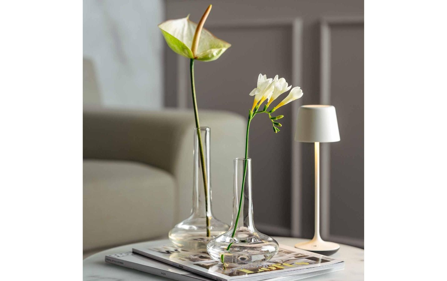 Lampe, Blume, Pflanze