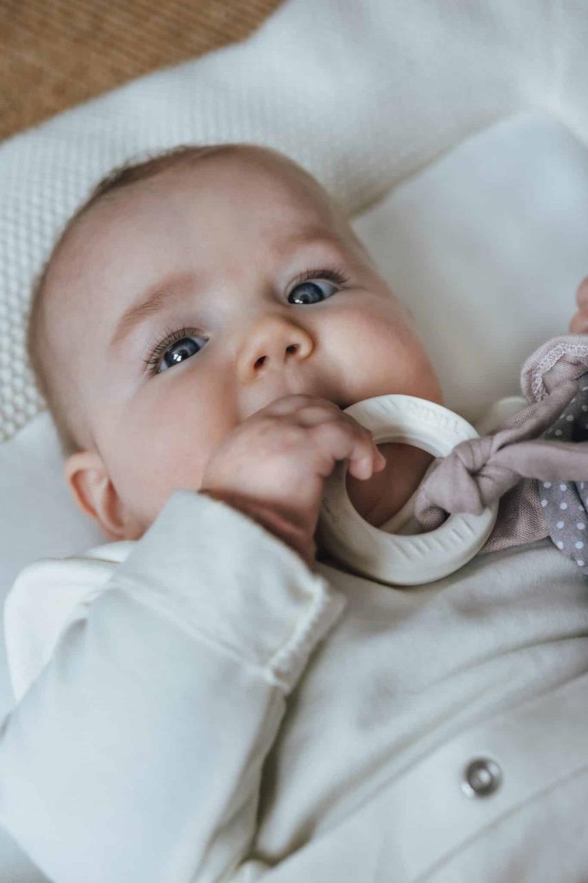 Beissring mit kleinem Rehkitz Beissring mit kleinem Rehkitz