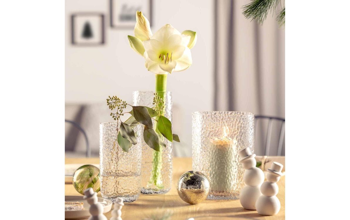 Krug, Töpferei, Vase, Blume, Pflanze