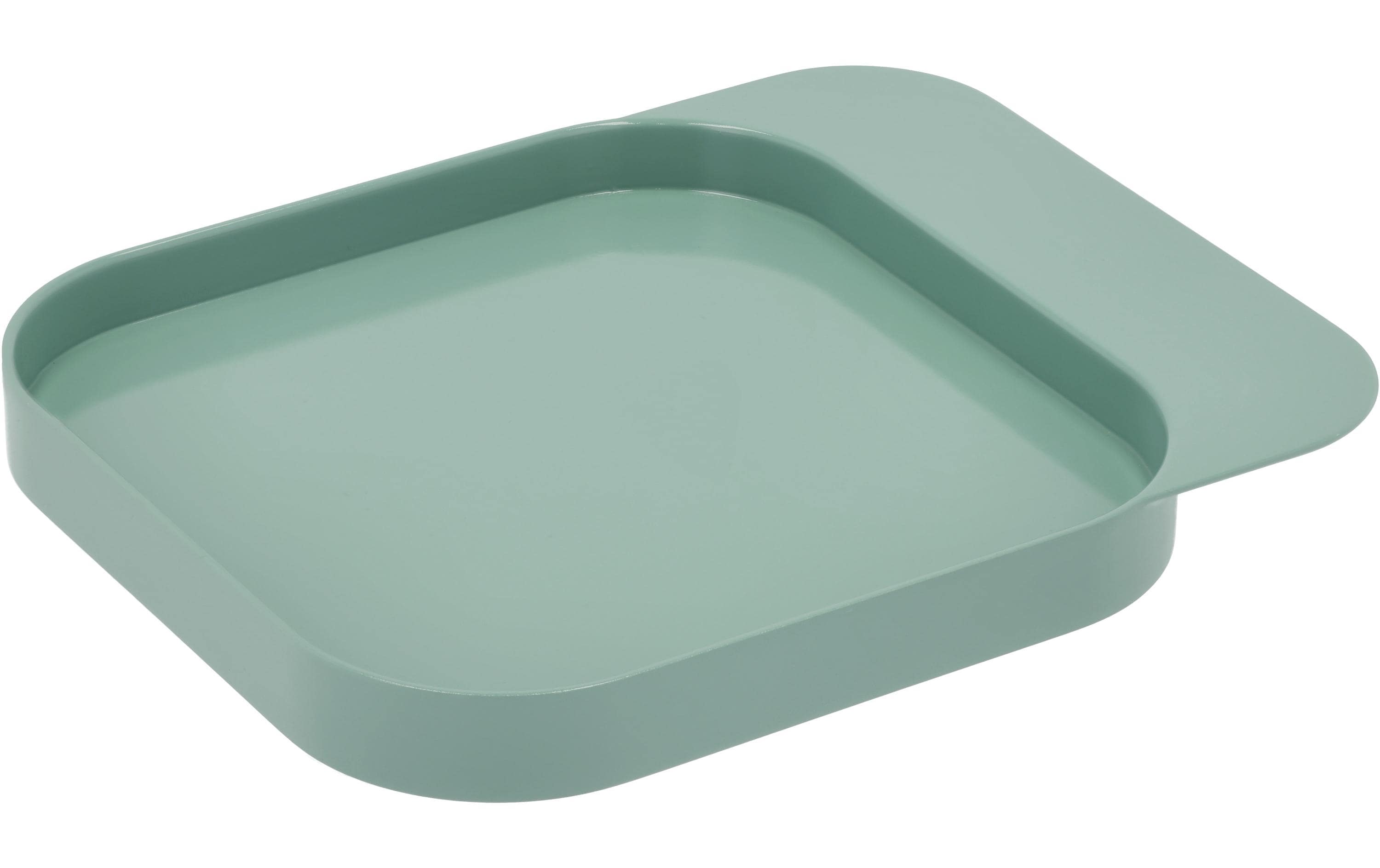 schuh,  schale, grün, rund, rechteckig